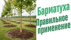 Особенности применения удобрений.