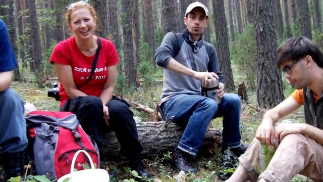 пикник в лесу смотреть онлайн