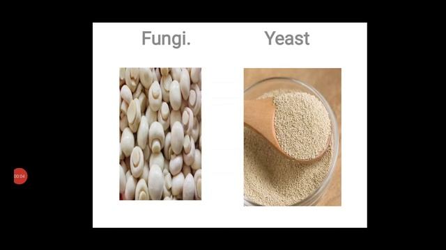 Strategies of food enhancement Class 12 смотреть онлайн