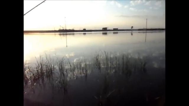 Классная рыбалка на крупного карася смотреть онлайн