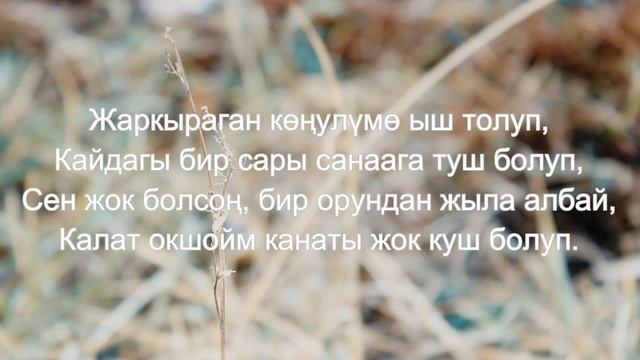 Суйуу жонундо ырлар смотреть онлайн