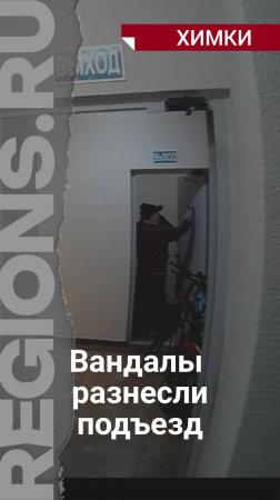 Вандалы в Химка разнесли подъезд