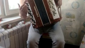 баян Школьник