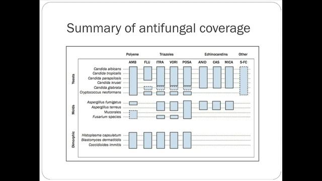 9/11 - Antifungals - PA смотреть онлайн