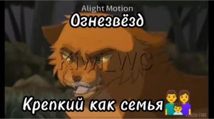 🌻Коты воители как строчки из песни🌻