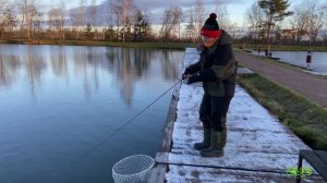 Ловим прудовую форель на приманки #ZUB