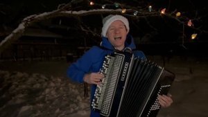 ❄️☃️⛄️А СНЕГ ИДЁТ... И все вокруг чего-то ждет… (на баяне)