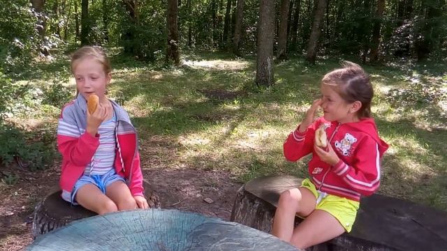 Путешествие по Украине-серия 5-лес Винницкая обл.возле с.Рожнатовка- сяду на пенек сьем пирожок смотреть онлайн