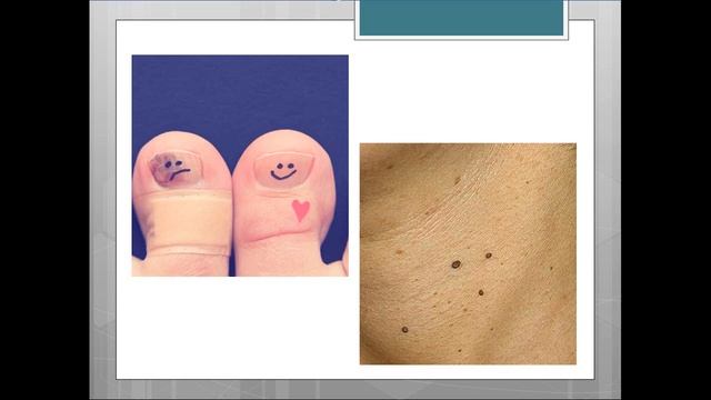 Применение продукции Биозан смотреть онлайн