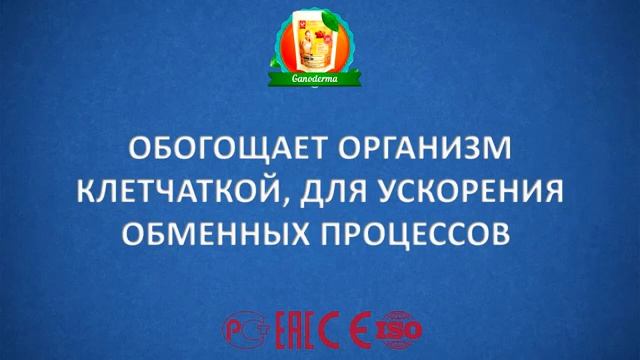 Ганодерма  Как правильно купить ганодерма  Ганодерма для похудения