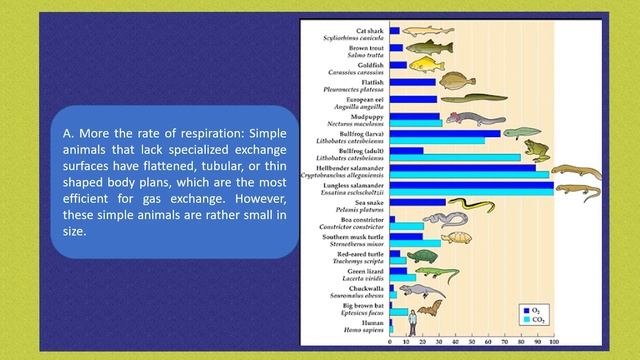 EXPLANATORY BIOLOGY MCQS PART - 1 смотреть онлайн