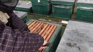 первые дотации пчелам в январе