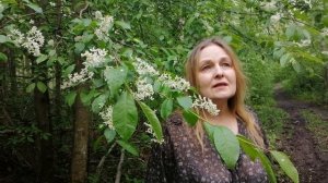 Борис Пастернак - Маргарита (Читает Дарья Худякова)