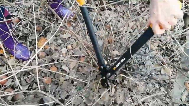 СУЧКОРЕЗ FISKARS L74 /РАБОТА СУЧКОРЕЗА ПРОСТО СУПЕР/ОБЗОР смотреть онлайн