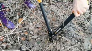 СУЧКОРЕЗ FISKARS  L74 /РАБОТА СУЧКОРЕЗА ПРОСТО СУПЕР/ОБЗОР