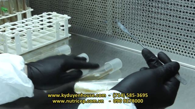 Nutricep Cordyceps Commercial смотреть онлайн