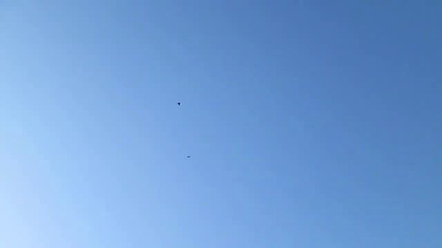 15 ноября пос новоэкономическое пара рябогорлых фильм 4 смотреть онлайн