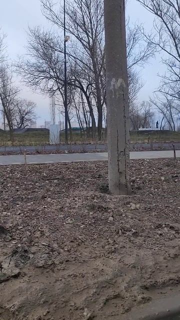 +++Погода!!!+++ конец января смотреть онлайн