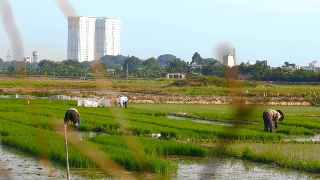 The REAL Reason Your Soil Is DYING.. смотреть онлайн