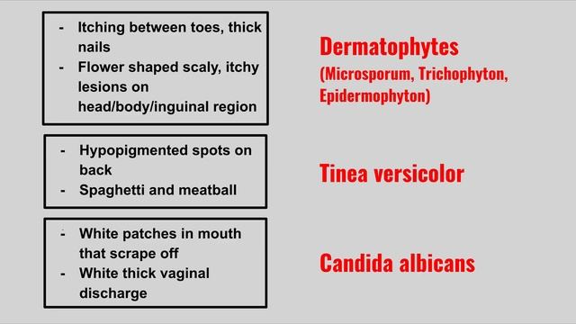 USMLE STEP 1 HIGH-YIELD MICROBIOLOGY - FUNGI | MED STUDENT SUCCESS