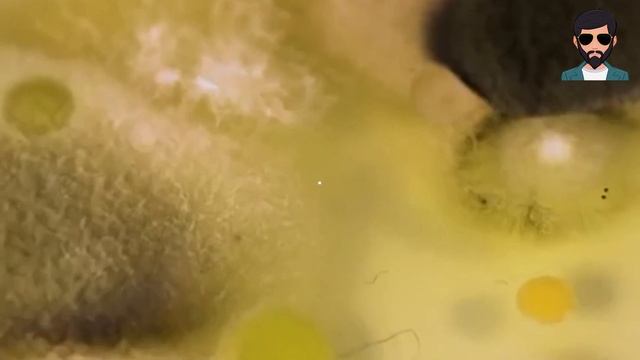 क्या आपने गलती से फफूंदी लगी हुई चीज़ खाई है (Fungus Facts in Hindi) смотреть онлайн