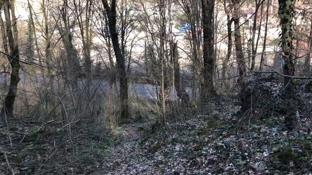 Одиночное путешествие мухомор чайные домики смотреть онлайн