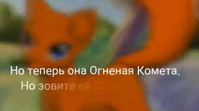 Мои ос из Котов-Воителей смотреть онлайн