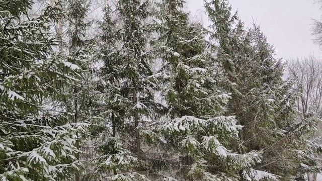 Красивый снежный день в деревне, жизнь в деревне, зима, деревенская природа, прогулка