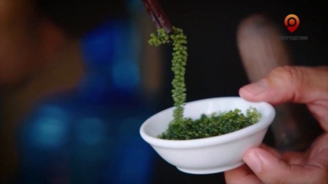 Анонс. Вьетнам, рельсы и две палочки. смотреть онлайн