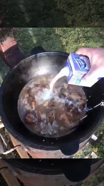 Кролик в сливках 😋 #вказане #вказаненакостре #кролик смотреть онлайн