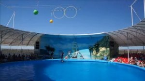 Дельфинарий Немо в Феодосии