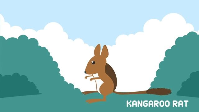 The Animals that Walk on Two Legs Flash Cards | Learn to Talk | Vocabulary in English