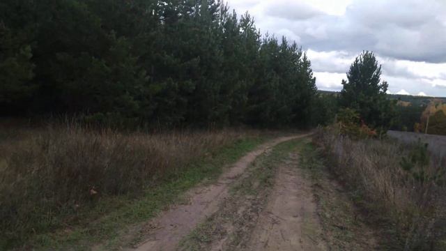 Рыжики 2022 часть 2 смотреть онлайн