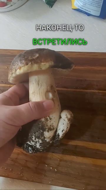 Всё о грибах. #shorts #юмор #грибы