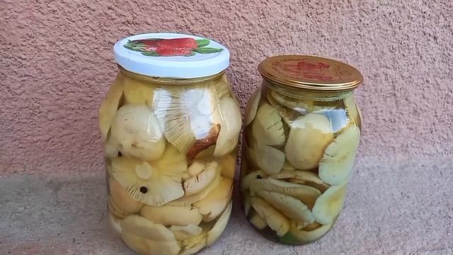 Мариновані гриби по ДОМАШНЬОМУ/Головне правило маринування...mushrooms🇺🇦 смотреть онлайн