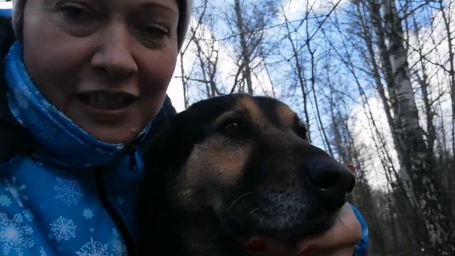 Котособакорелакс, грибы, подарочки! смотреть онлайн