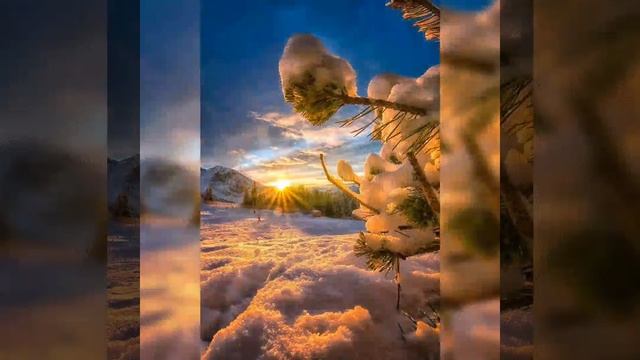 Зима не властна        Авторская песня            Георгий Моисеевич          Стихи Таис Никольская