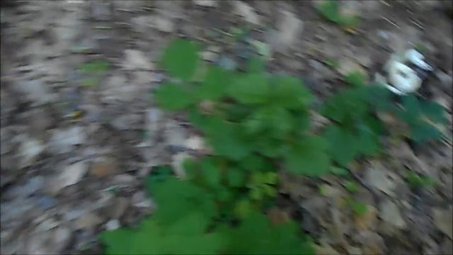 наступает удивительное лето смотреть онлайн