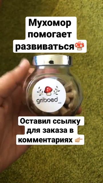 #мухомор #shorts #развитие #бизнес #микродозинг #ноотропы #народнаямедицина