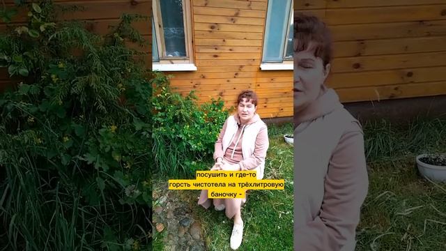 Самый полезный рецепт кваса! Целебный напиток, избавляющий от кист, папиллом и паразитов смотреть онлайн