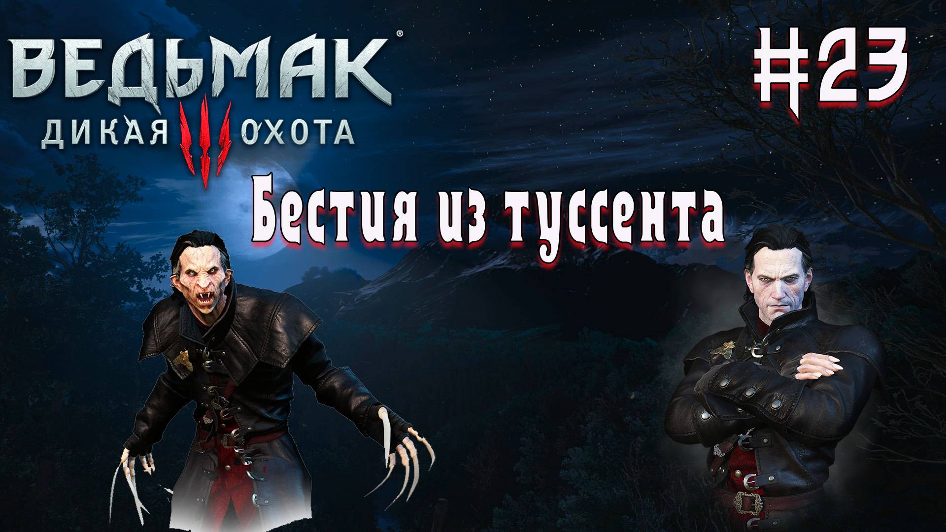 Ведьмак 3 Дикая охота. Прохождение на самом высоком уровне сложности. Blood and Wine 23