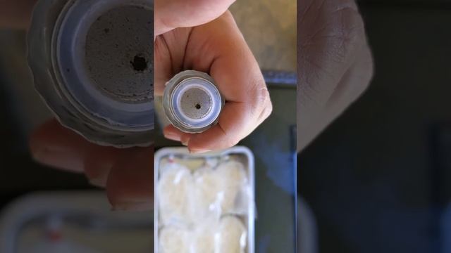 How to culture your own Trichoderma for bigger batches & lower costs смотреть онлайн