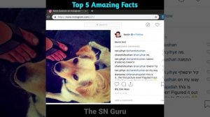 Top 5 Amazing Facts The SN Guru || #short #shorts #facts