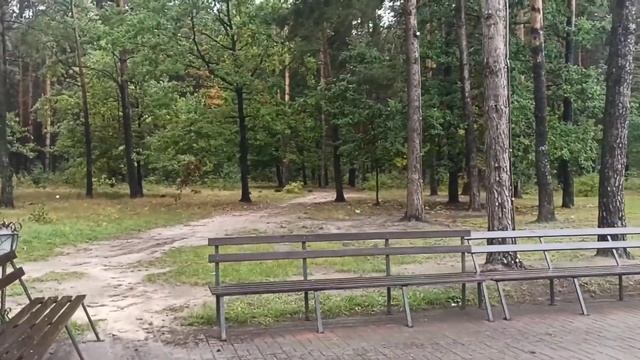 ЗАБАВНАЯ ИСТОРИЯ или Марк отправился ЗА ГРИБАМИ ! смотреть онлайн