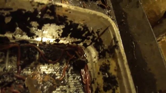 Дендробена считаем 02.12.11. 1 смотреть онлайн