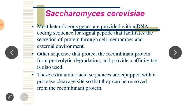 Yeast Expression System in hindi смотреть онлайн