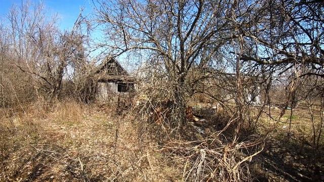 Апрельская побродилка. Велопешеходная прогулка по Боровой. смотреть онлайн