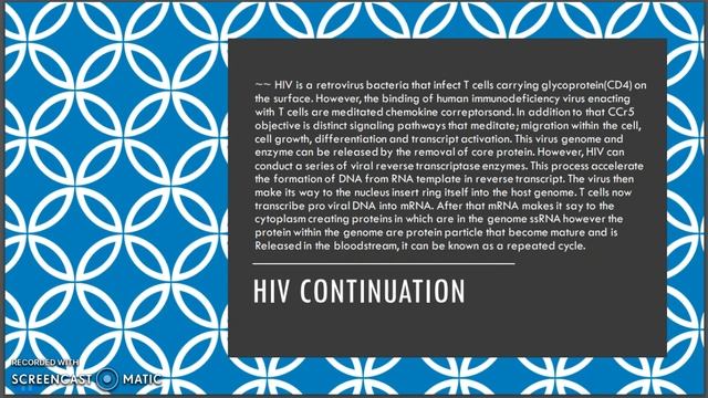 video_1619892068255 смотреть онлайн