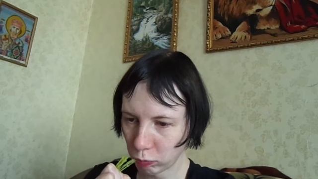 VLOG: ПАПА ПРИНЕС ПИКАНЫ! 21.06.2018 г. смотреть онлайн