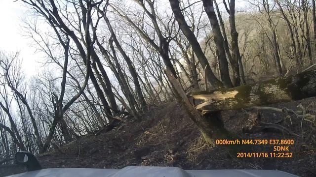 За грибами 16 11 14 смотреть онлайн